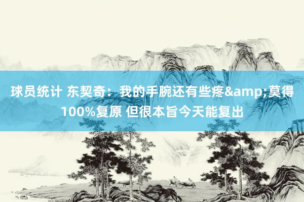 球员统计 东契奇：我的手腕还有些疼&莫得100%复原 但很本旨今天能复出