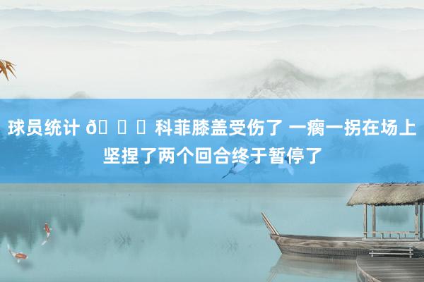 球员统计 😐科菲膝盖受伤了 一瘸一拐在场上坚捏了两个回合终于暂停了