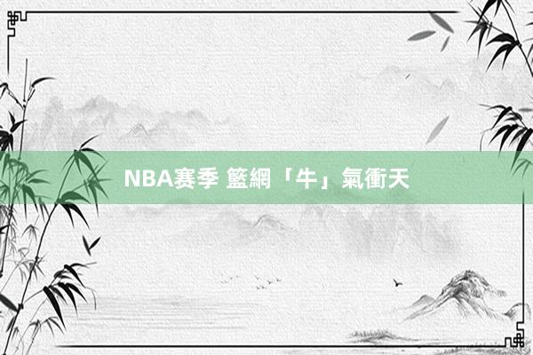 NBA赛季 籃網「牛」氣衝天