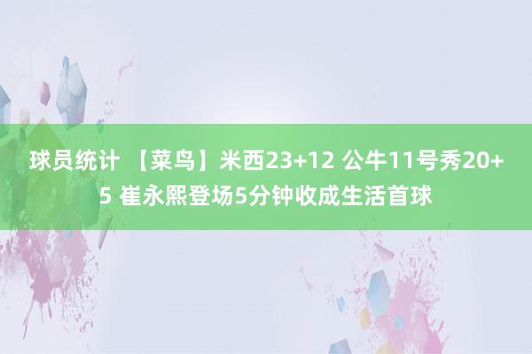 球员统计 【菜鸟】米西23+12 公牛11号秀20+5 崔永熙登场5分钟收成生活首球