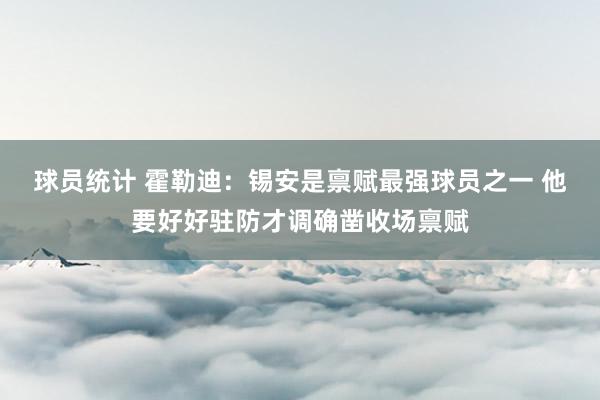 球员统计 霍勒迪：锡安是禀赋最强球员之一 他要好好驻防才调确凿收场禀赋