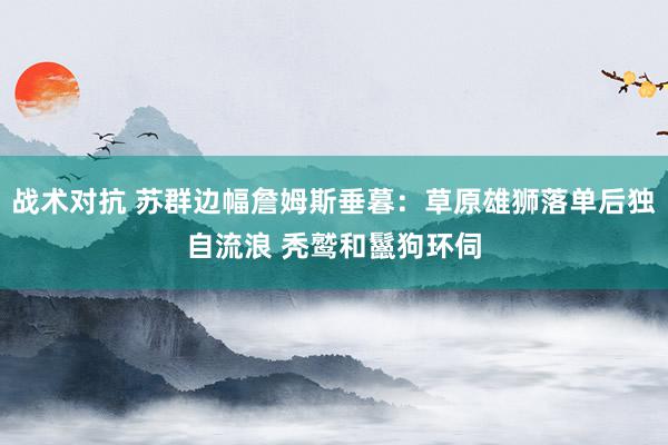 战术对抗 苏群边幅詹姆斯垂暮：草原雄狮落单后独自流浪 秃鹫和鬣狗环伺