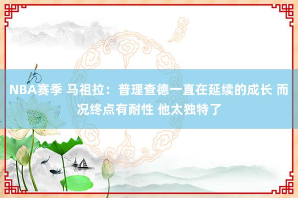 NBA赛季 马祖拉：普理查德一直在延续的成长 而况终点有耐性 他太独特了