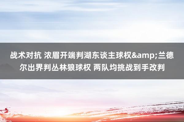 战术对抗 浓眉开端判湖东谈主球权&兰德尔出界判丛林狼球权 两队均挑战到手改判